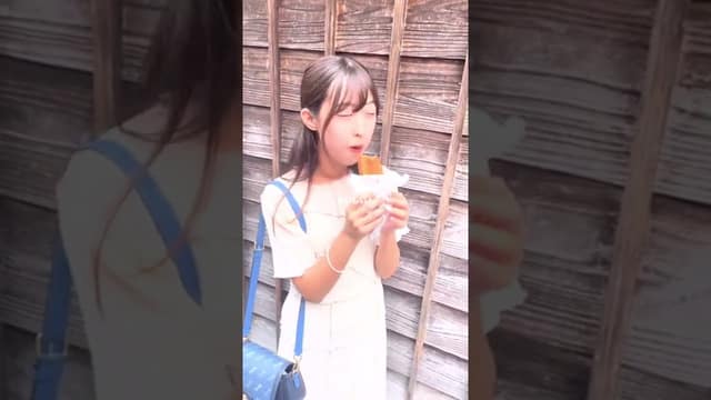 Okage Yokocho: an Ise shrine visit and a food street