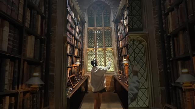 Warner Bros. Studio Tour Tokyo: what to plan before booking