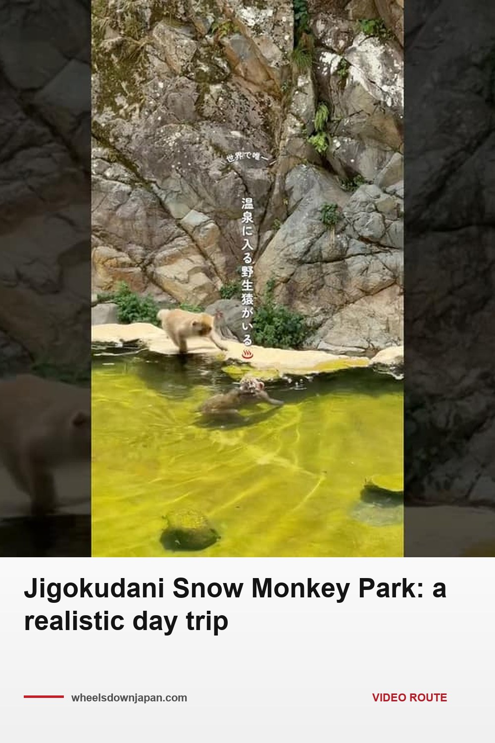 Pinterest pin: Jigokudani Snow Monkey Park: a realistic day trip