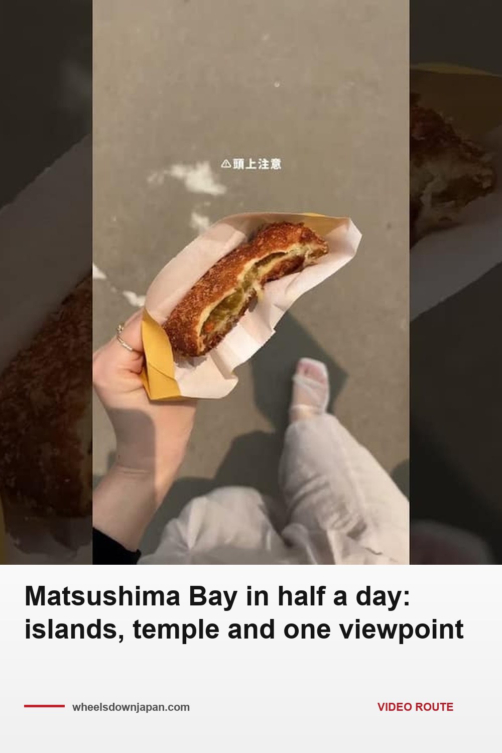 Pinterest pin: Matsushima Bay in half a day: islands and one viewpoint