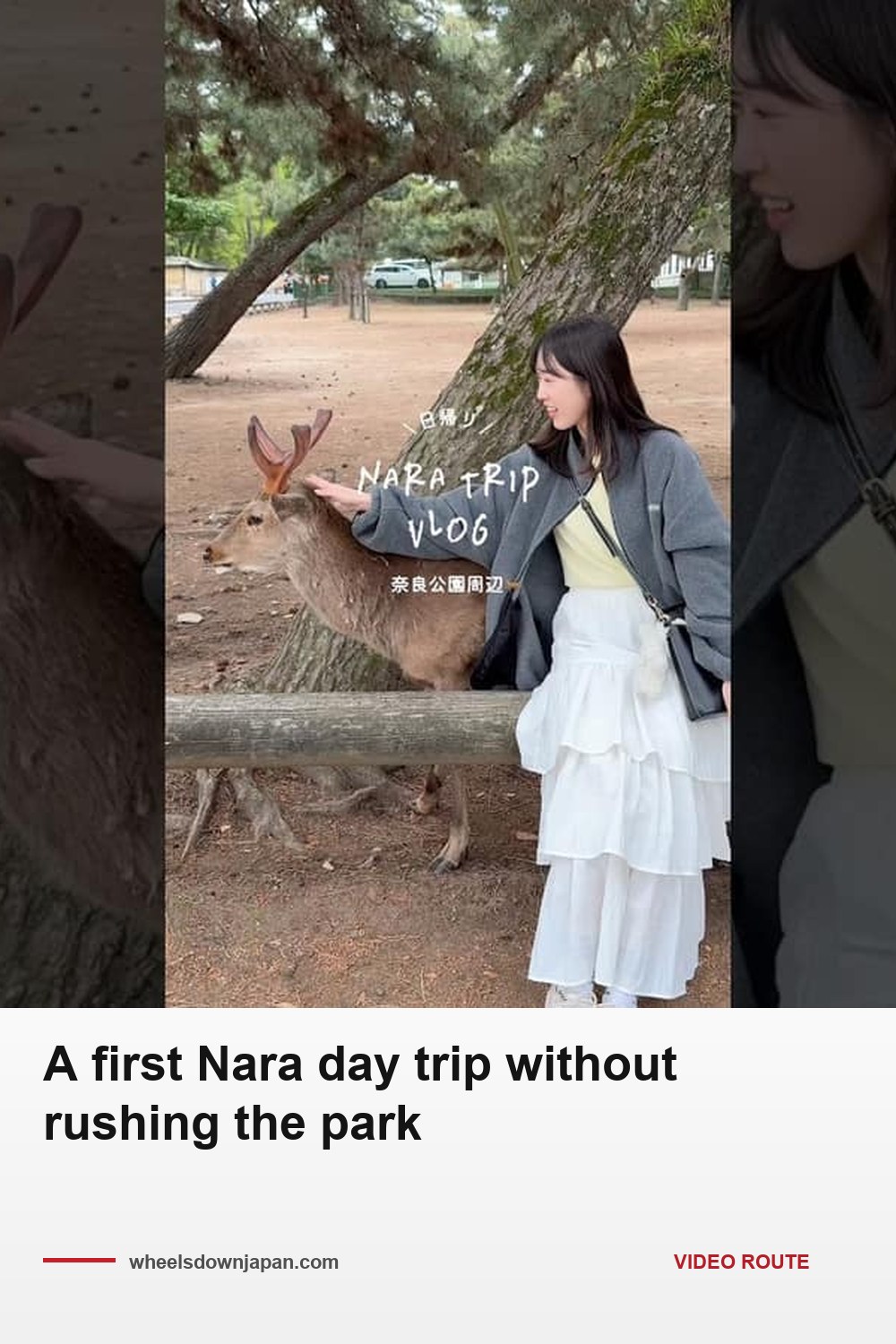 Pinterest pin: A first Nara day trip without rushing the park