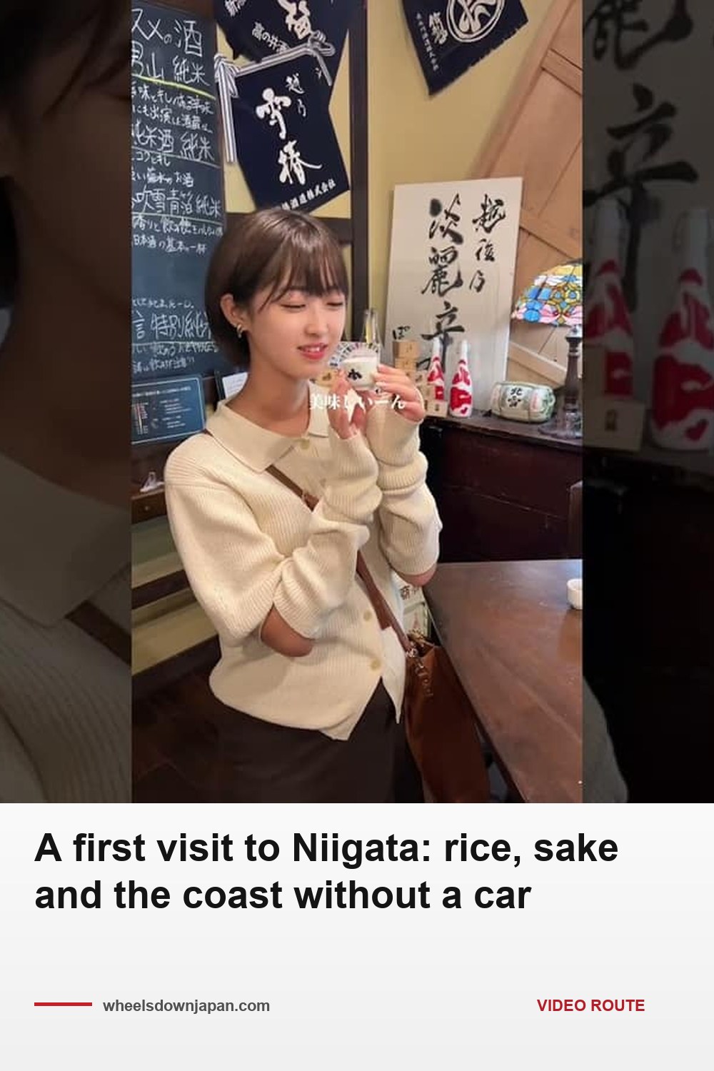 Pinterest pin: A first visit to Niigata: rice, sake and coast, no car