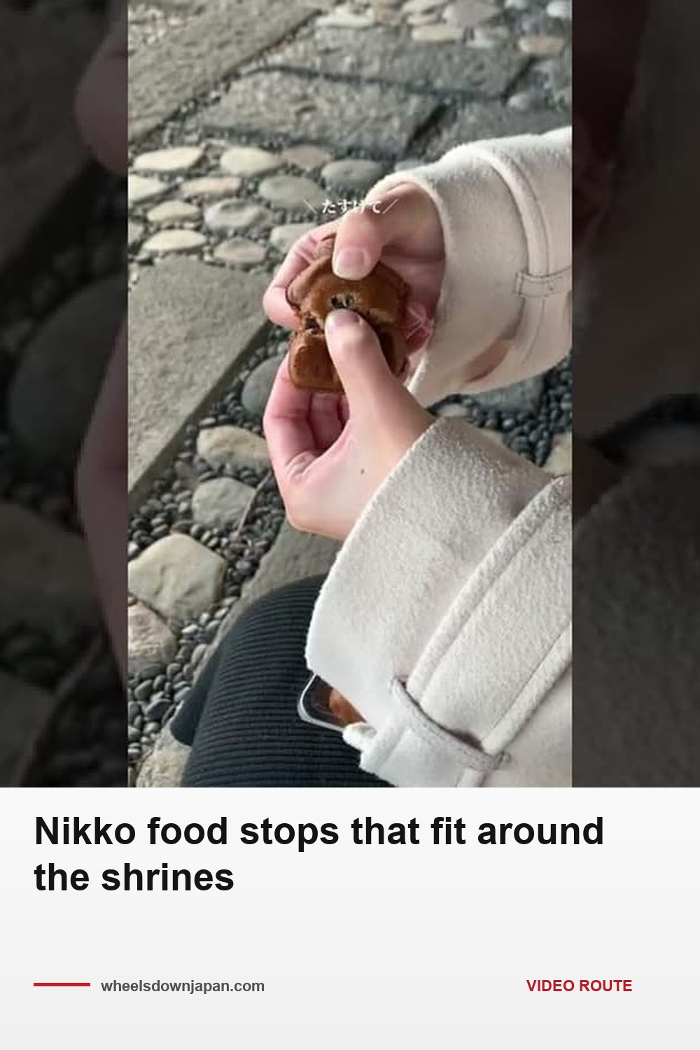 Pinterest pin: Nikko food stops that fit around the shrines